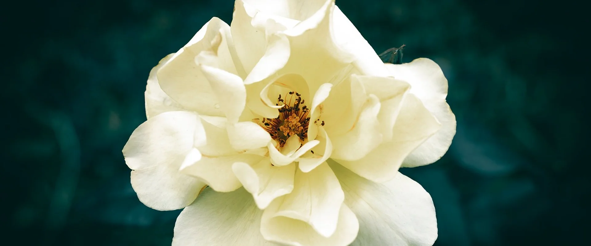 b体育官网PG电子